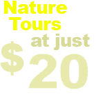 Nature Tours at just $15 per person