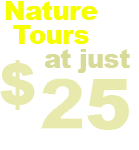 Nature Tours at just $15 per person